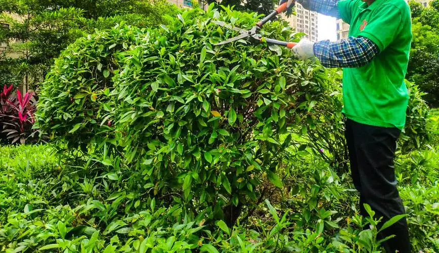 国外园林景观设计的现状