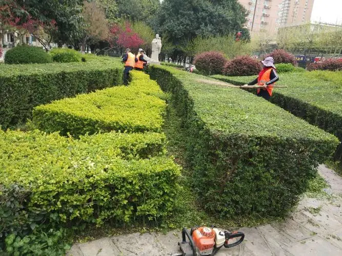 车间园林景观设计方案