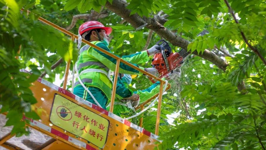 汉阳区优势园林绿化工程设计规范